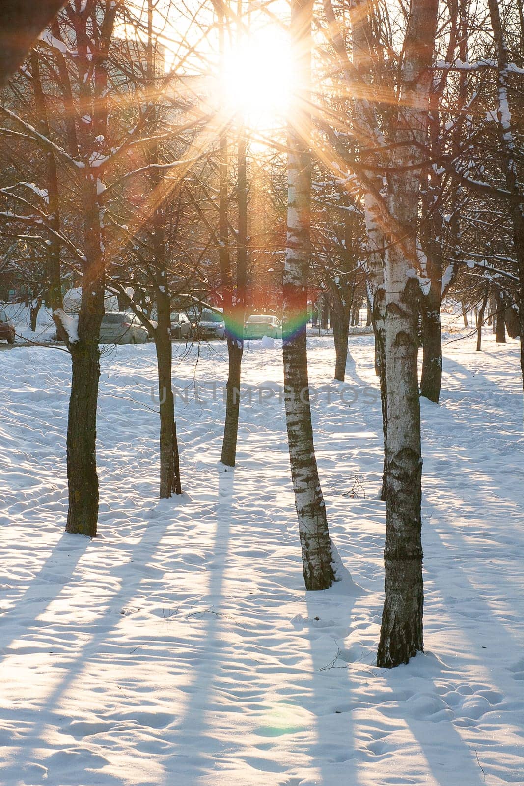 View of a city park, trees,