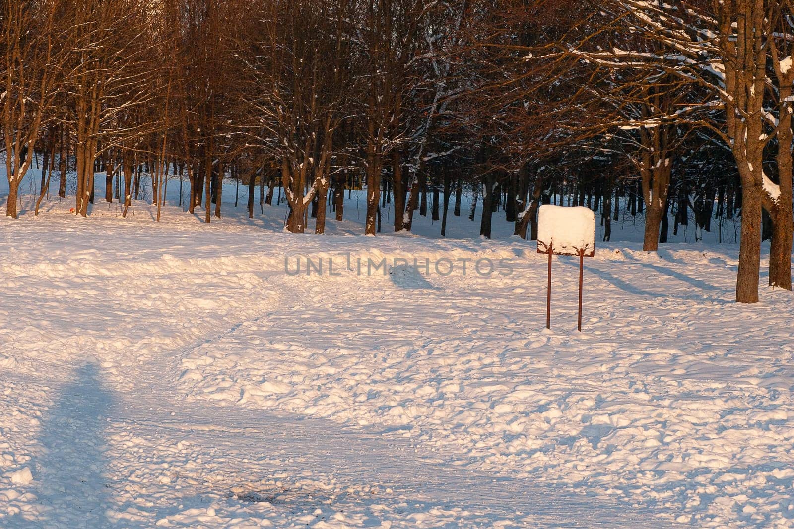 An information board covered with snow, a shadow of a person in the snow, in a winter forest in sunny weather.