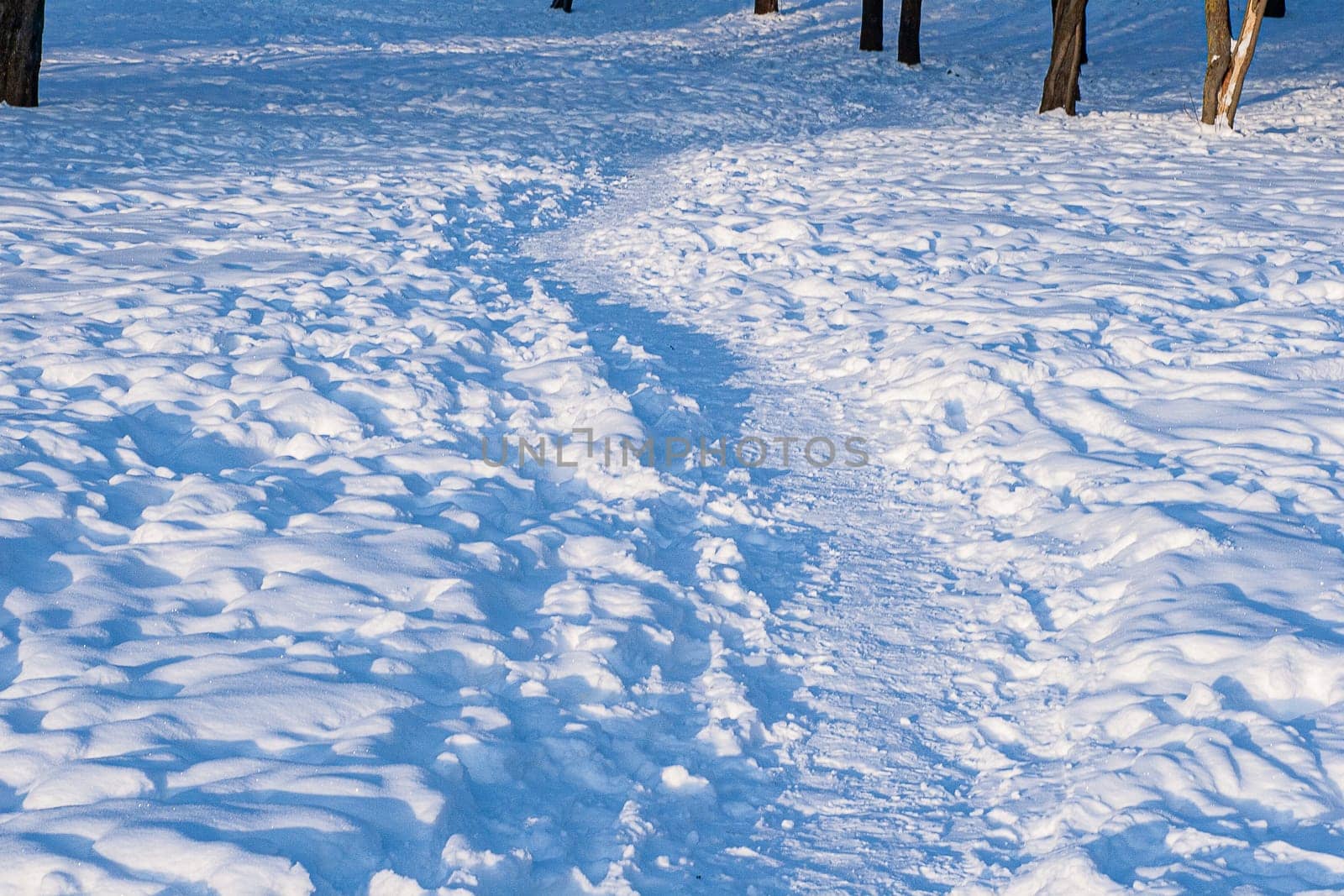 A large trodden path in a snowy forest.