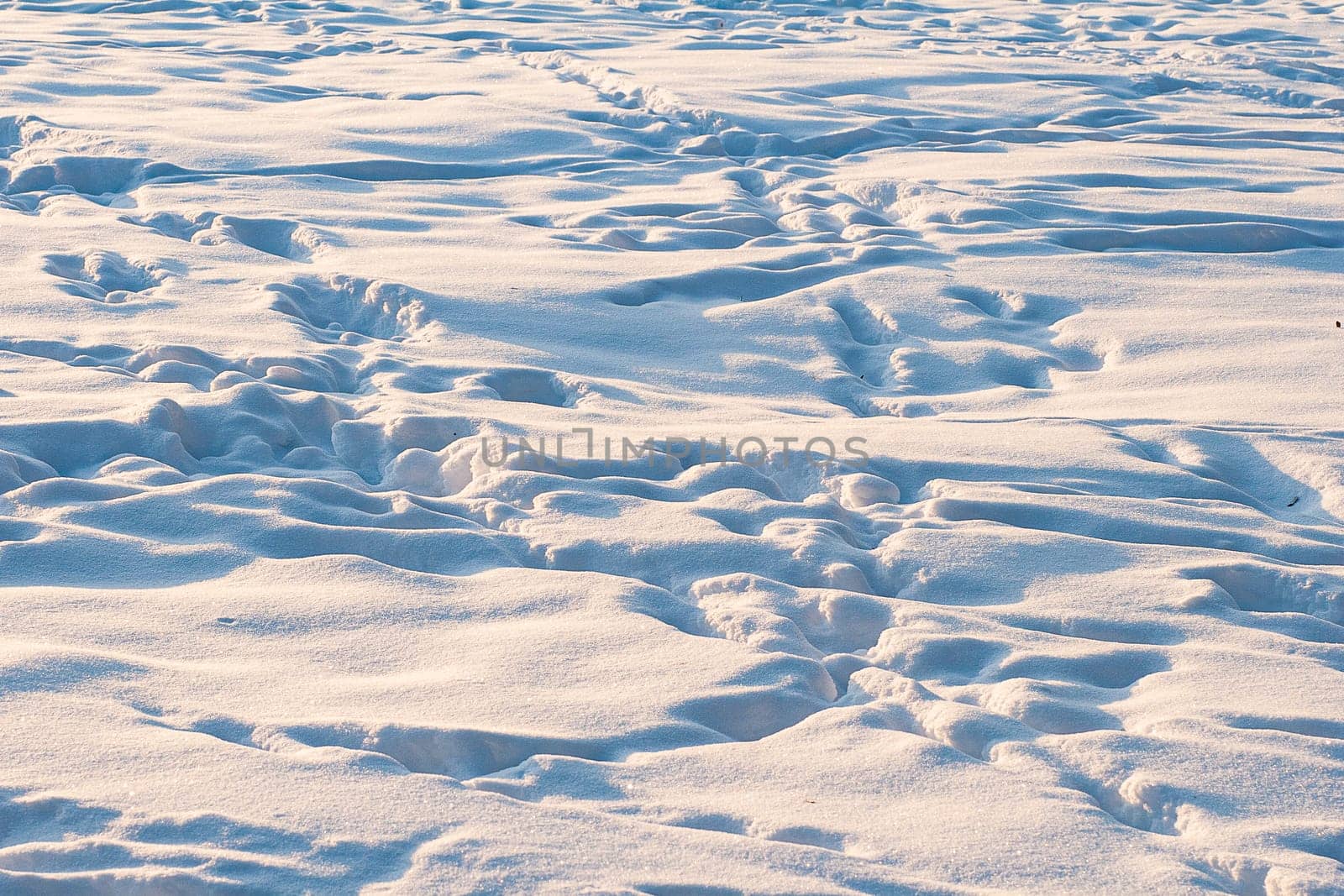 A large number of footprints on a snowy surface well lit by the sun.
