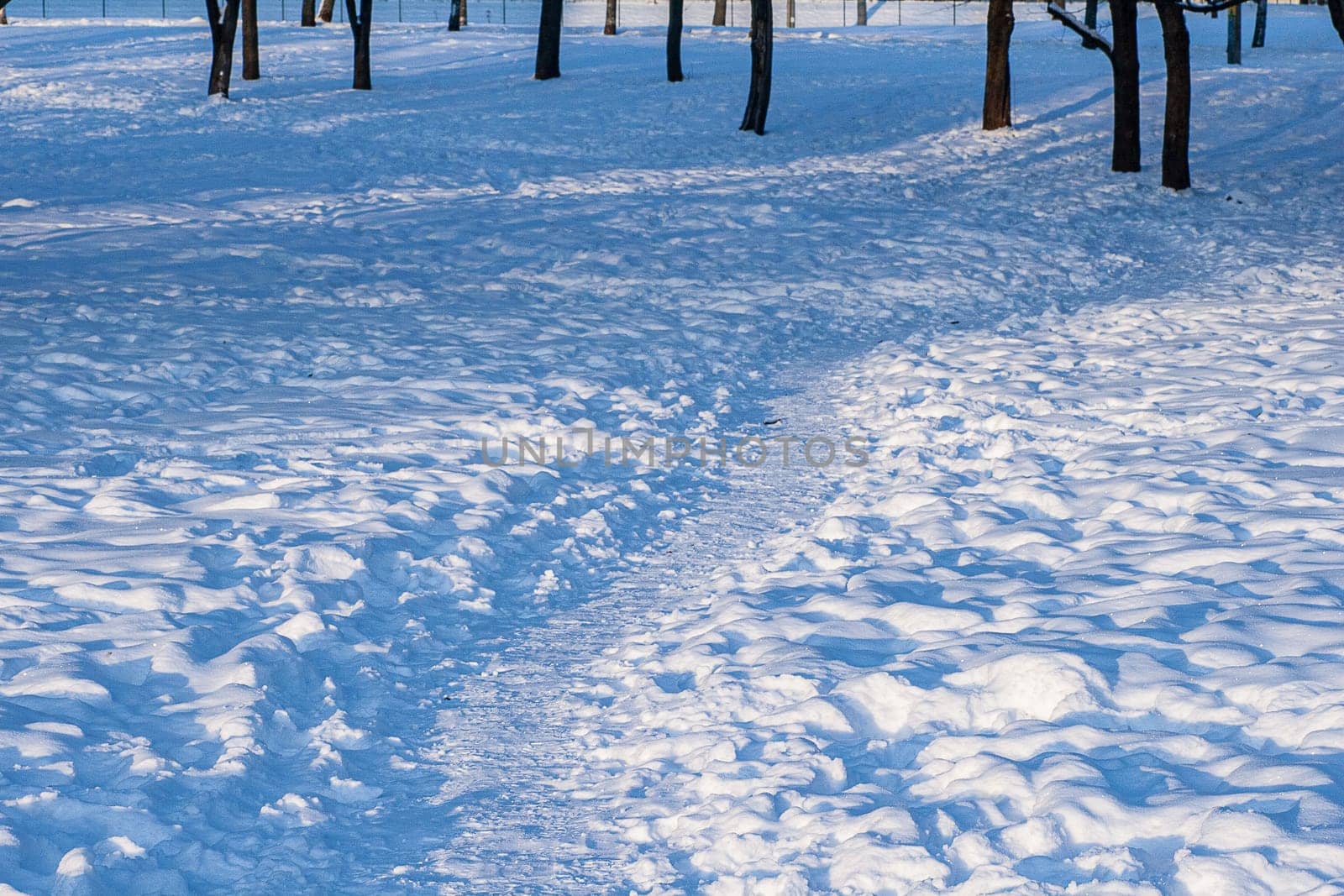 A trampled path in a city park with numerous footprints in the snow. tracks under sunlight.