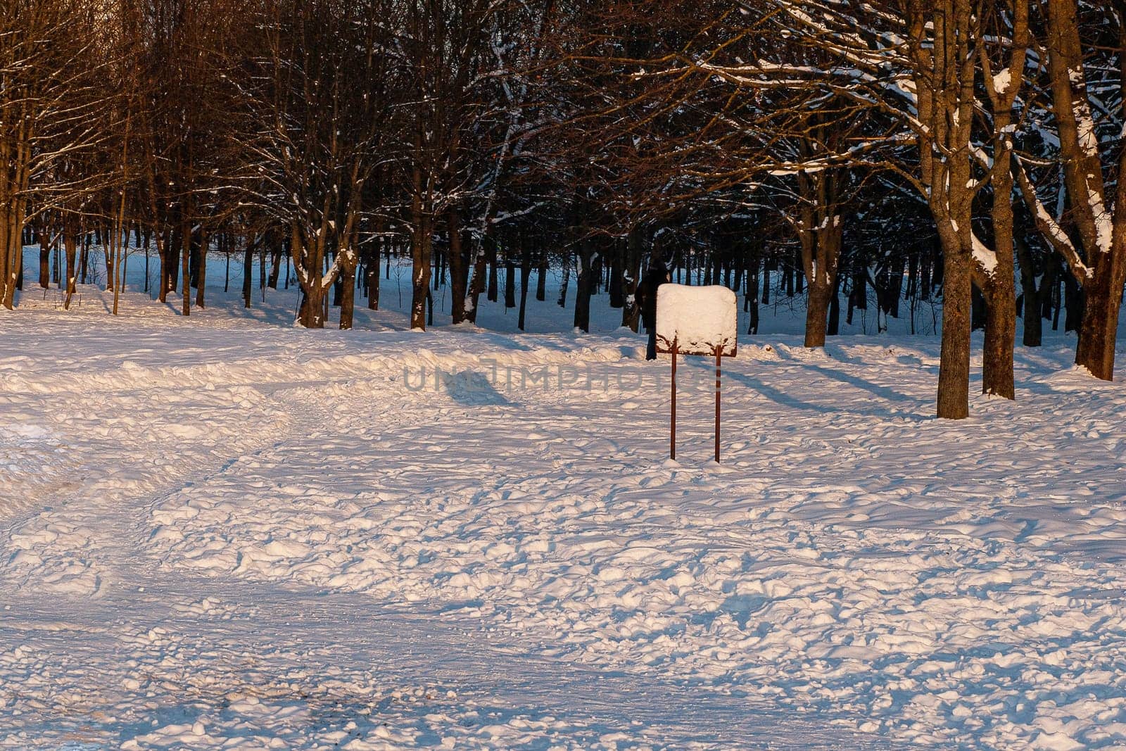 Information board covered with snow in a winter forest in sunny weather.