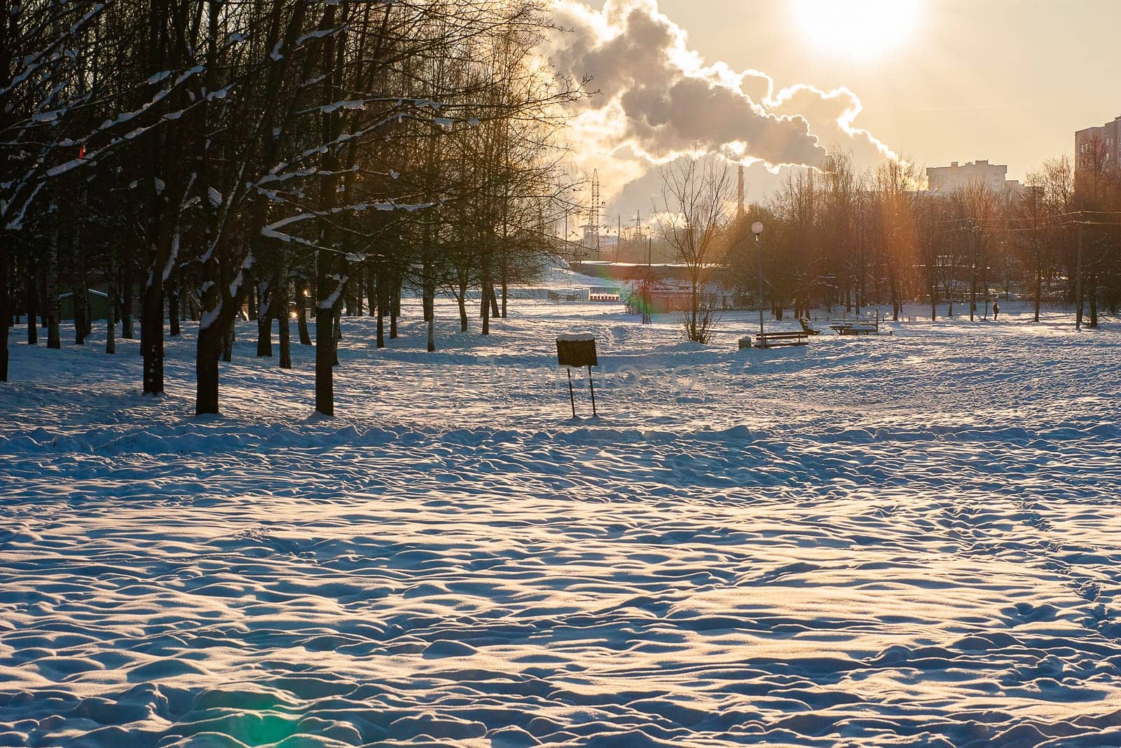 Photo of a city park in the snow, smoking chimneys in the distance against the background of a sunny sky.