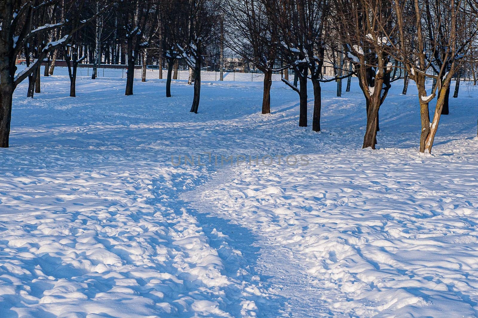 A trampled path in a city park with numerous footprints in the snow.