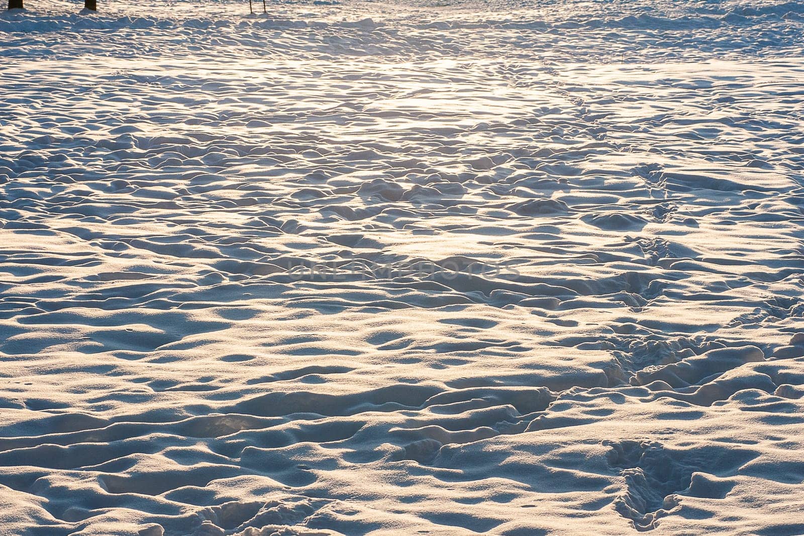 Close-up of fresh snow on a sunny day.
