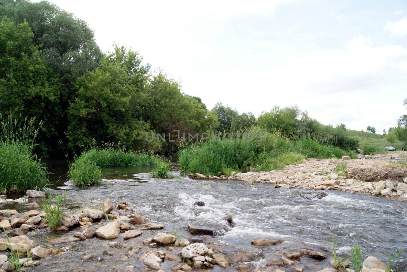 A photo of a river flowing through a lush, green forest on a sunny day. The water is clear and the rocks are visible.