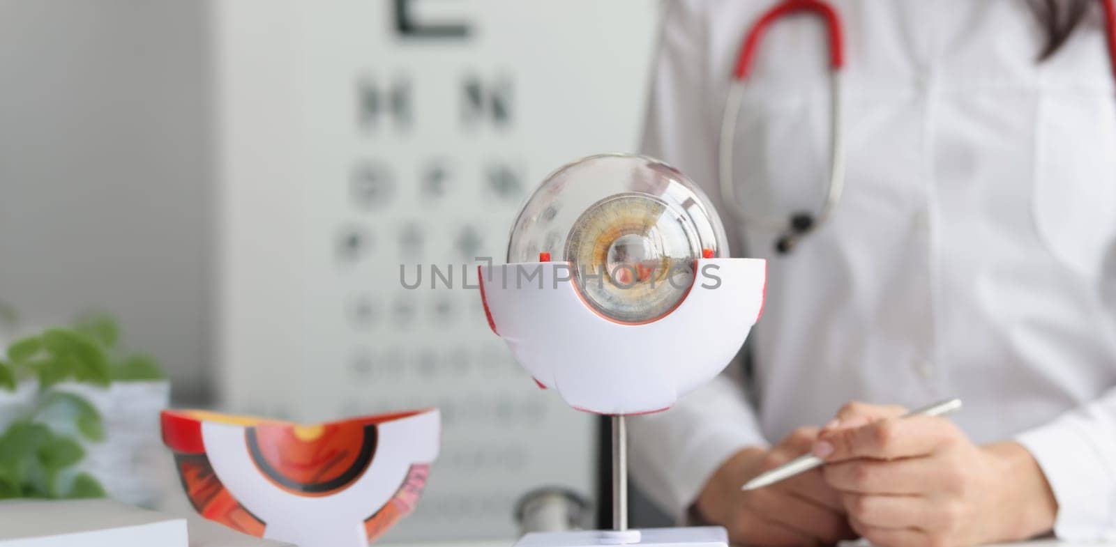 Close-up of ophthalmologist doctor in clinic, part of eye model on desk, oculus sample. Make appointment at oculist. Health, ophthalmology, checkup concept