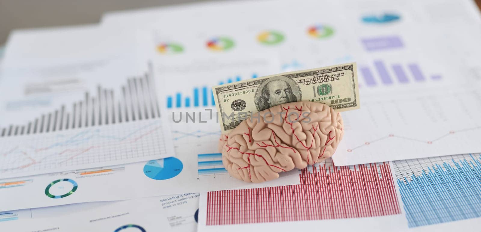 Close-up of banknote fit in anatomical model of human brain, miniature put on business papers. Make money with your intellect. Earn money with mind concept