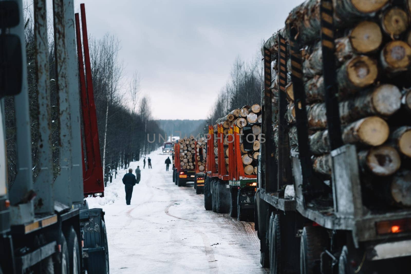 Loaded convoy of long vehicles mooving on winter road among forest