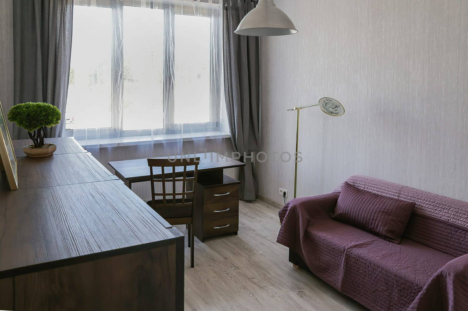 The room is an office with a desk, a chair, a sofa covered with a red blanket, a chest of drawers, a decorative tree in a pot, a window, a lamp.