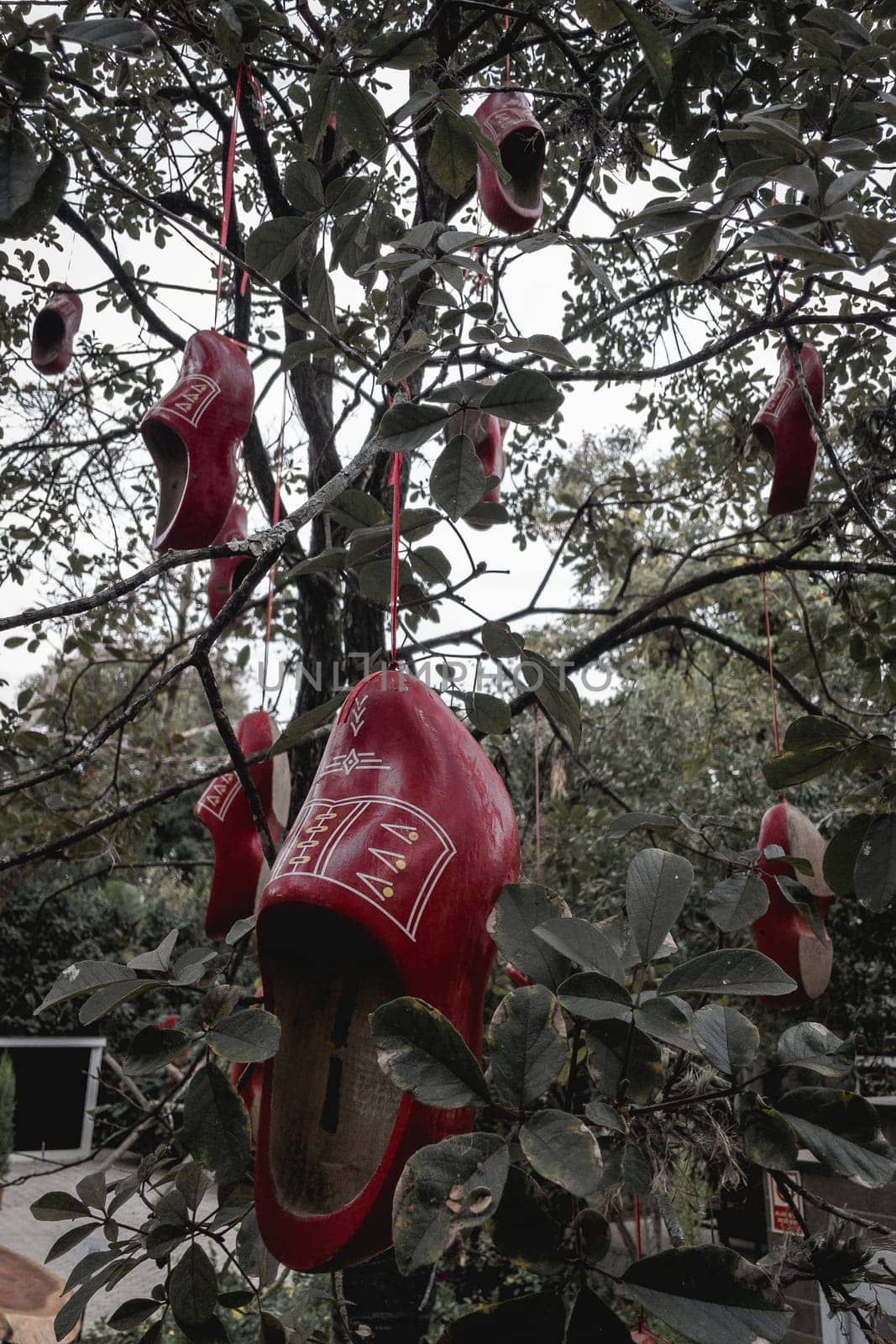 Clogs, typical Dutch wooden shoes, hanging in a tree as decoration. In Holambra, São Paulo, Brazil.
