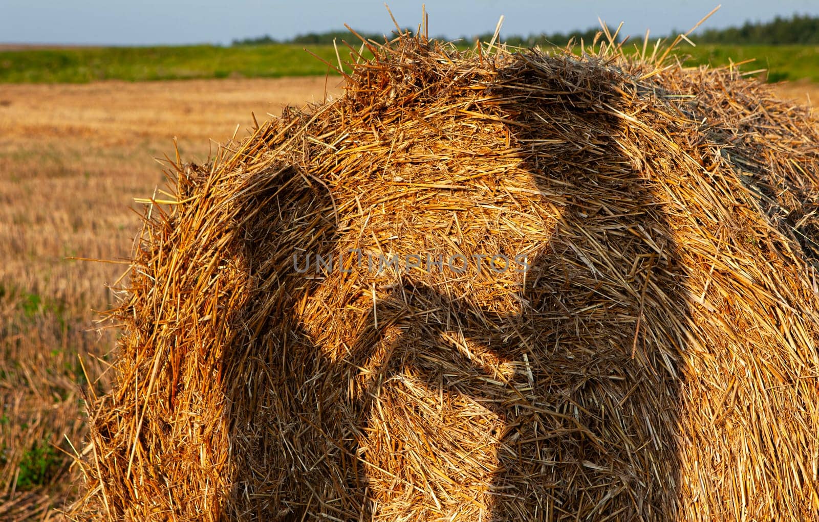 A round hay roll sits in a golden field at sunset with a long shadow of two people embracing cast on it. The sky is light blue, and the field continues in the background.