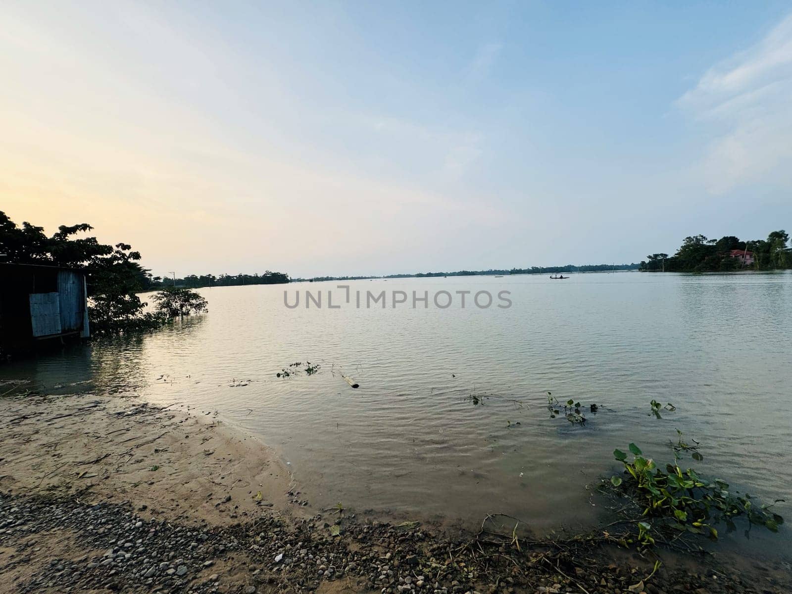 A serene body of water surrounded by lush trees and bushes, reflecting the natural beauty of the landscape. Ideal for nature, environmental, and landscape projects.