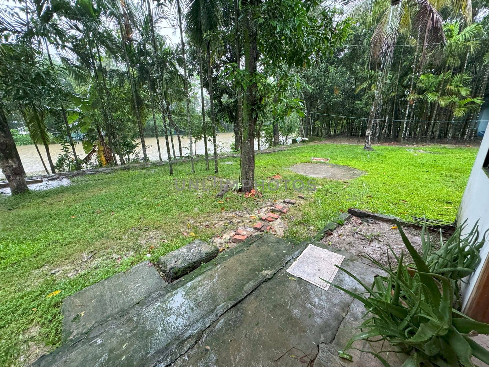 A well-maintained grass yard featuring lush green trees and a winding path. The scene exudes tranquility and natural beauty, ideal for use in gardening, landscaping, and outdoor lifestyle projects.