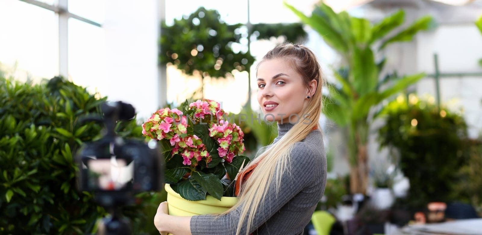 Young beautiful woman holding a pot with flower in greenhouse. Credit for an easy start to your family business concept.