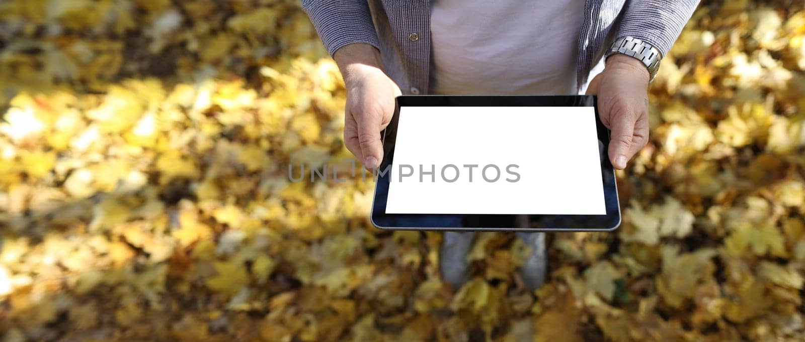 Man in pakr hold digital tablet pc with blank screen in park against yellow leaves background closeup. Autumn sales concept