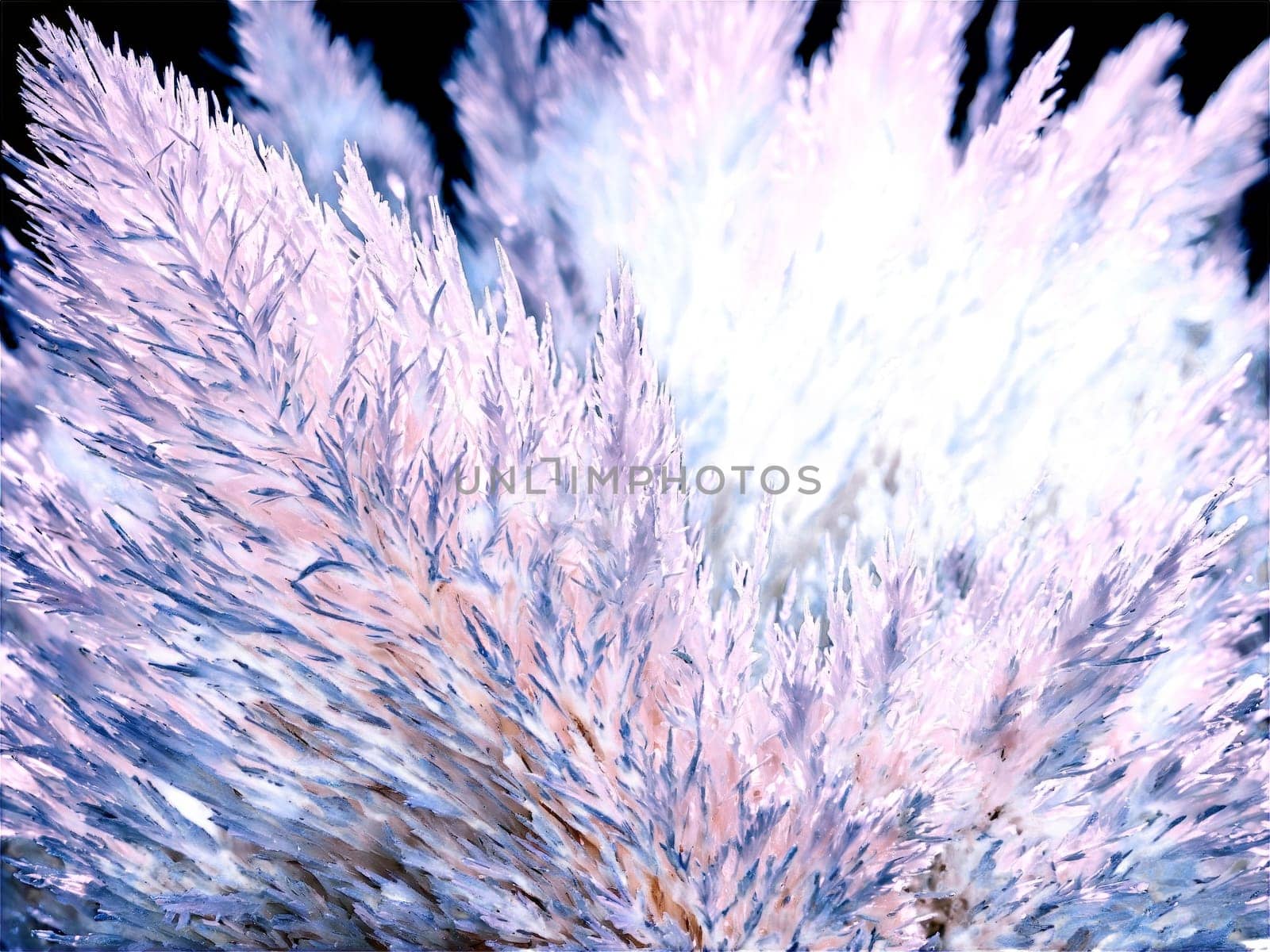 Stone isolated on transparent background. Scolecite A white scolecite with needle like crystals gently caught in a soft light that.