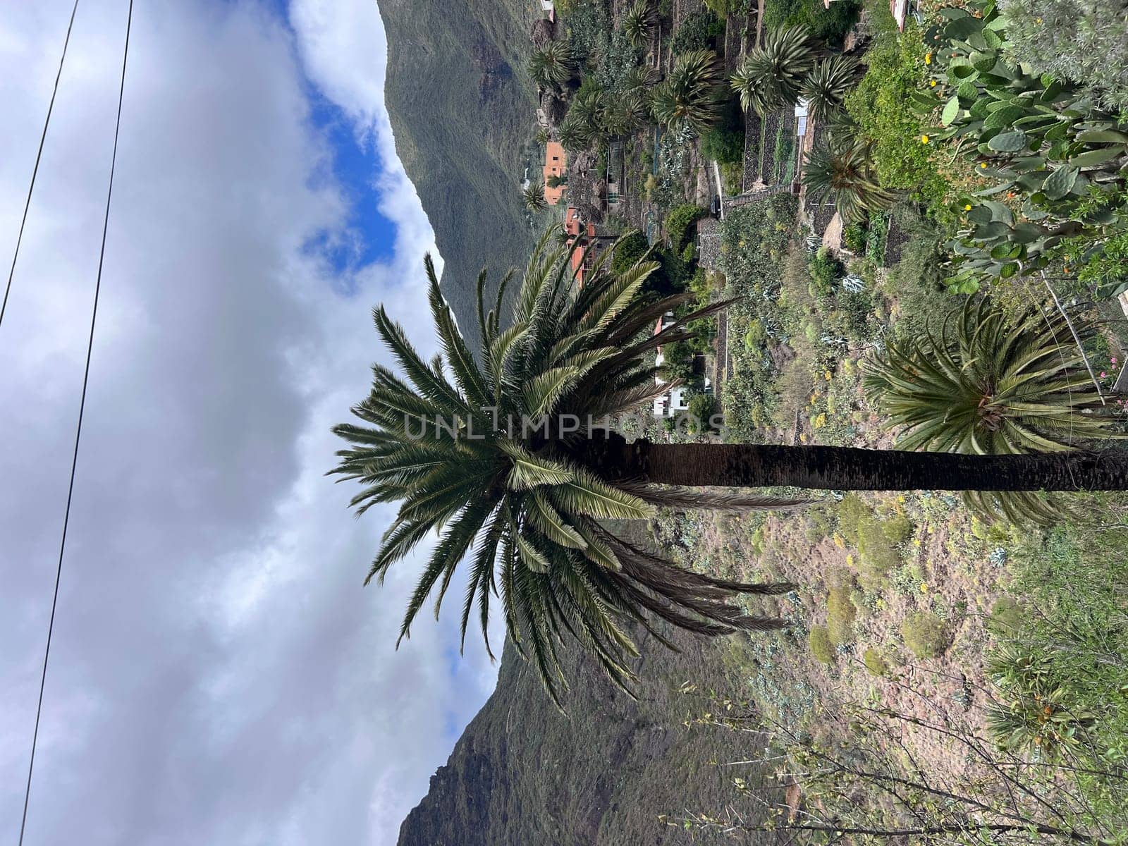 Beautiful mountain village Masca in Tenerife, Canary Islands, Spain. High quality photo