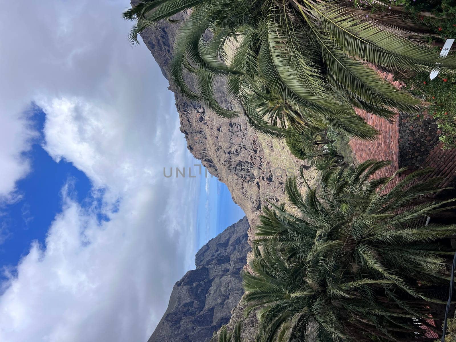 Scenic view on the massive steep rock formation of the Teno mountain massive near village Masca, Tenerife, Canary Islands, Spain, Europe. Palm tree branches with blue background entering the frame. High quality photo