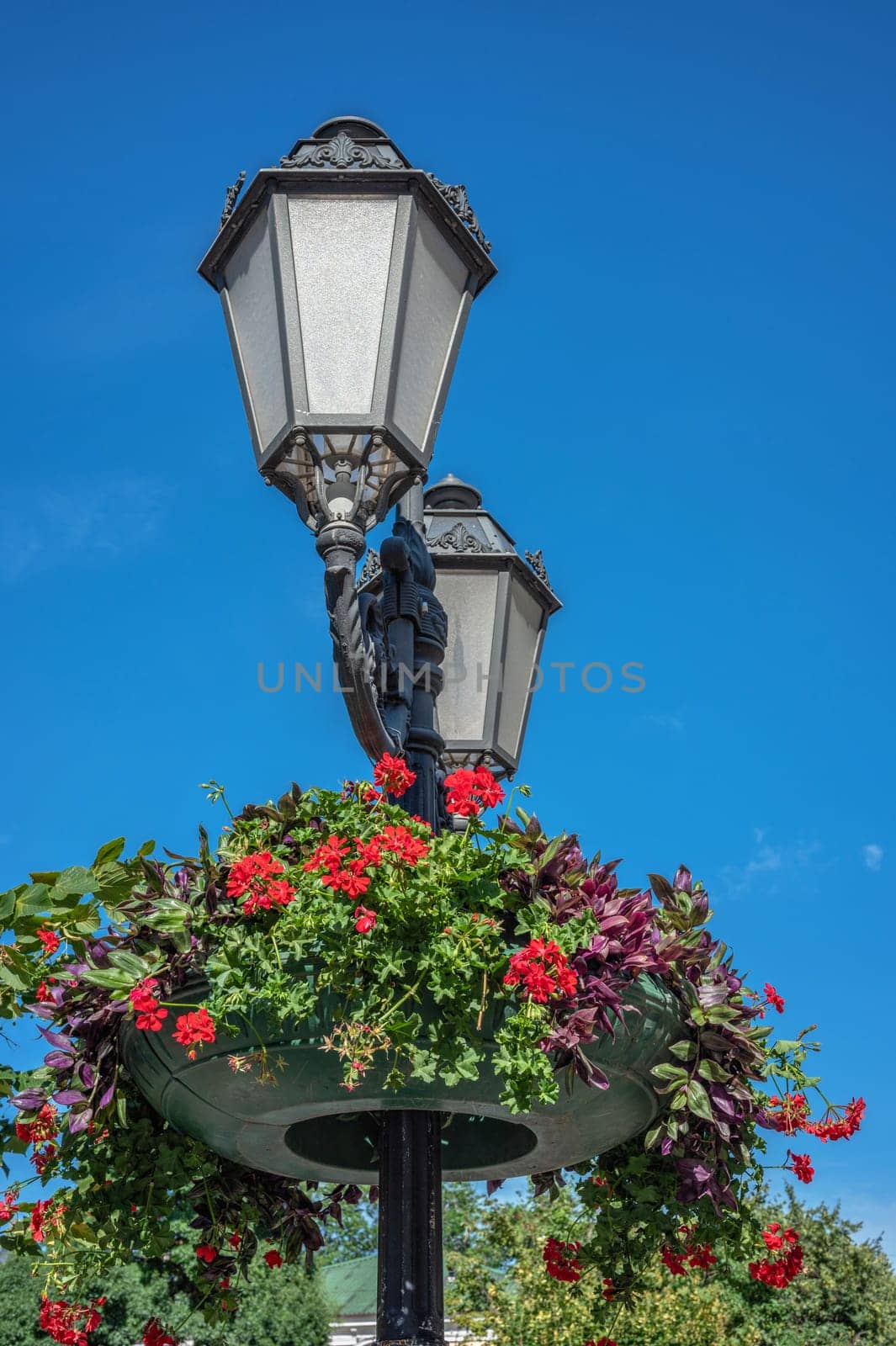 Historic Deribasovskaya street in Odessa, Ukraine by Multipedia