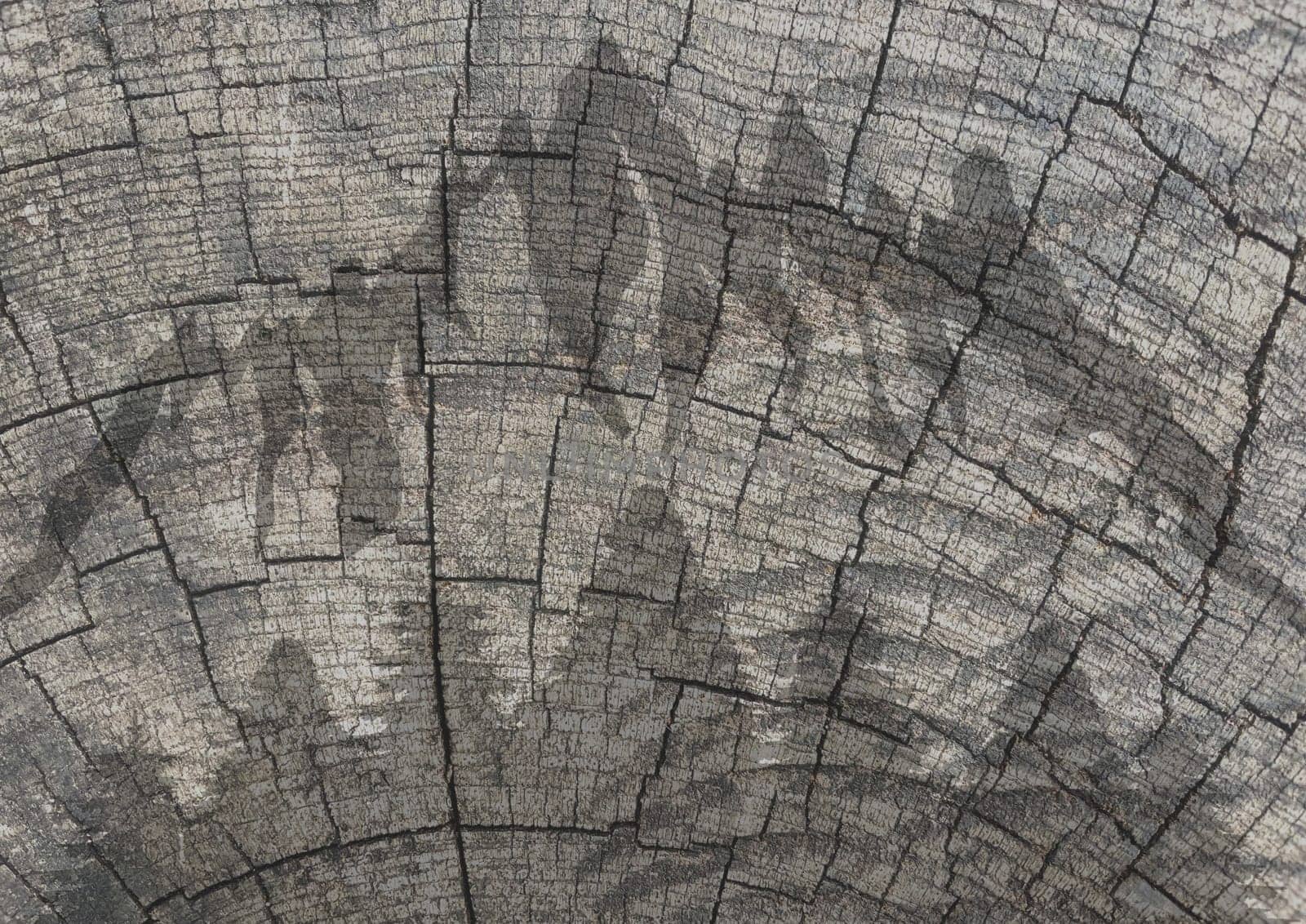 Illustration of a wooden background with faded trees and mountains.