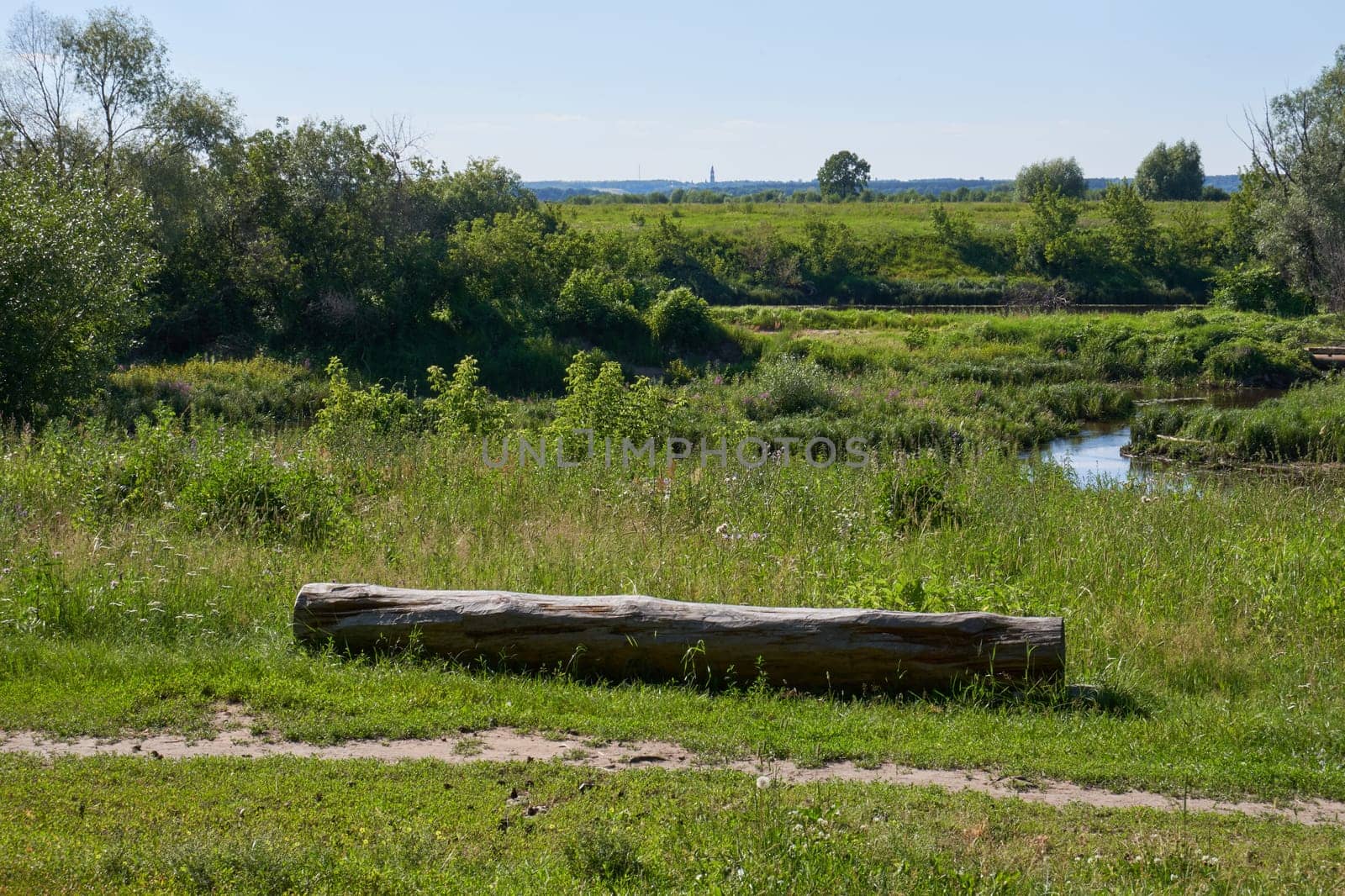 Summer landscape with a wooden log on the bank of a small river