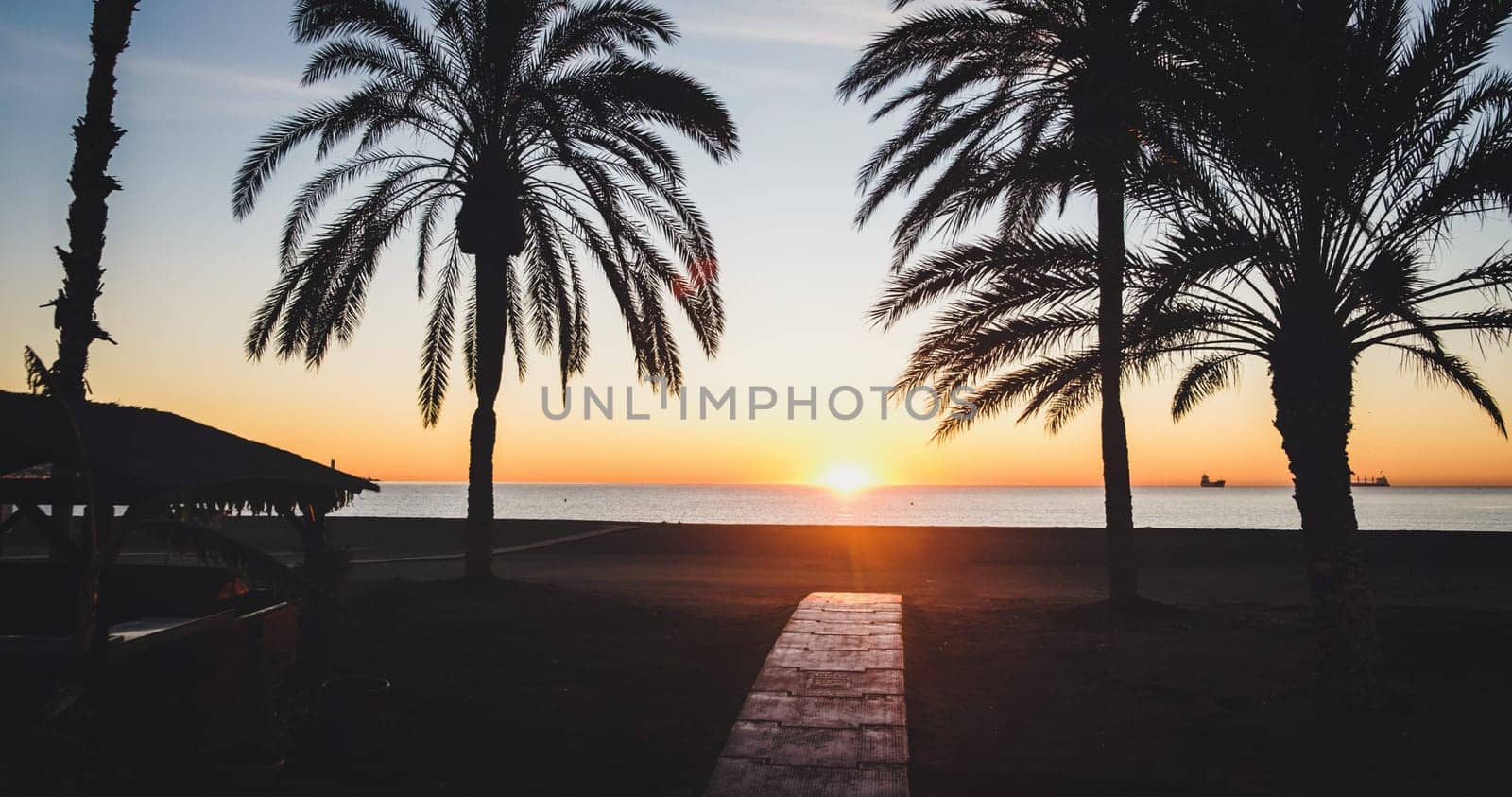Serene beach sunset with wooden pathway, palm trees, and distant ships. Perfect maritime evening imbued with tranquility and warmth download image
