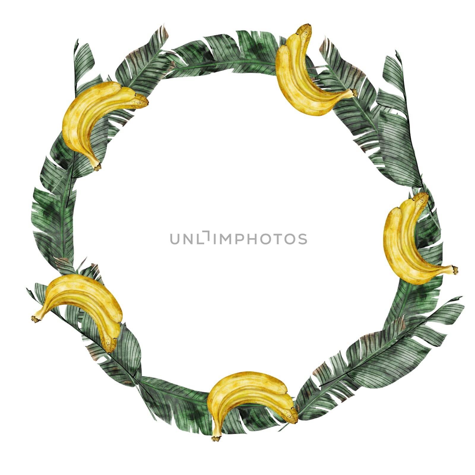 Banana watercolor frame. Hand drawn ripe tropical fruit round border. Clip art isolated on white background realistic exotic plant. Ideal for designing menus, price tags, labels and packaging of natural cosmetics. High quality photo