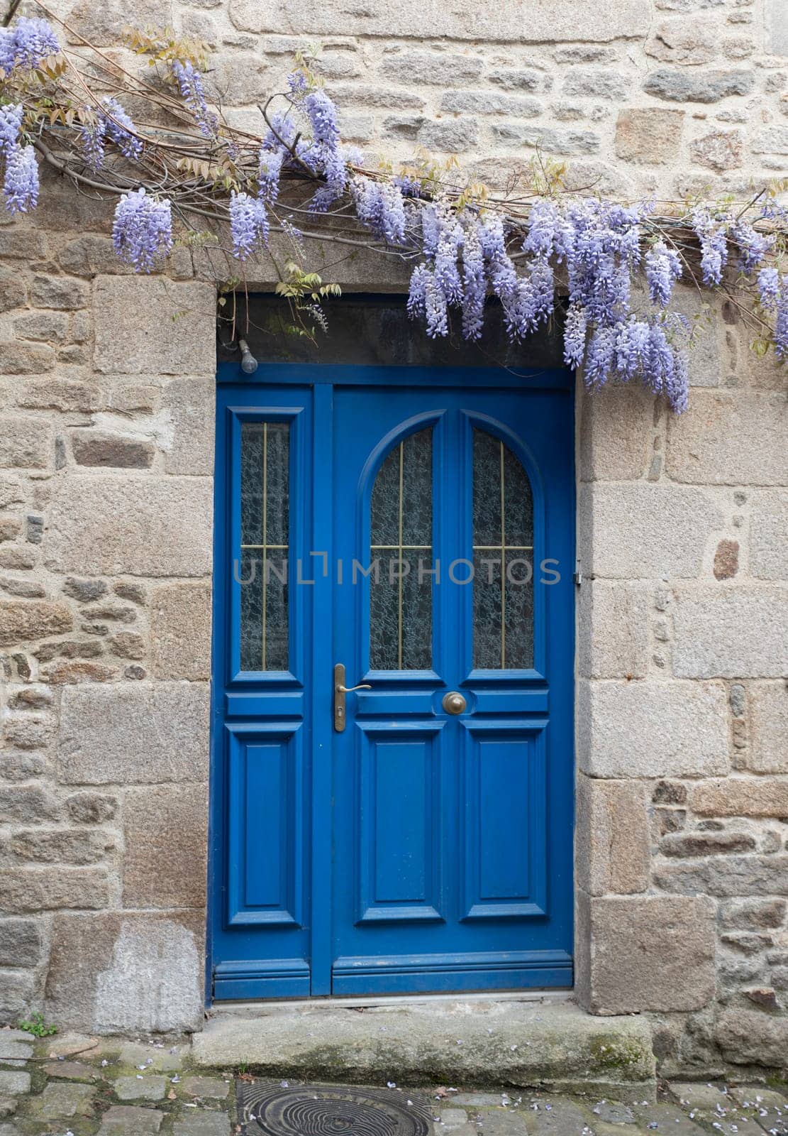 old house in dinan with typical french blue painted doors and wisteria sinesis flowers on the facade