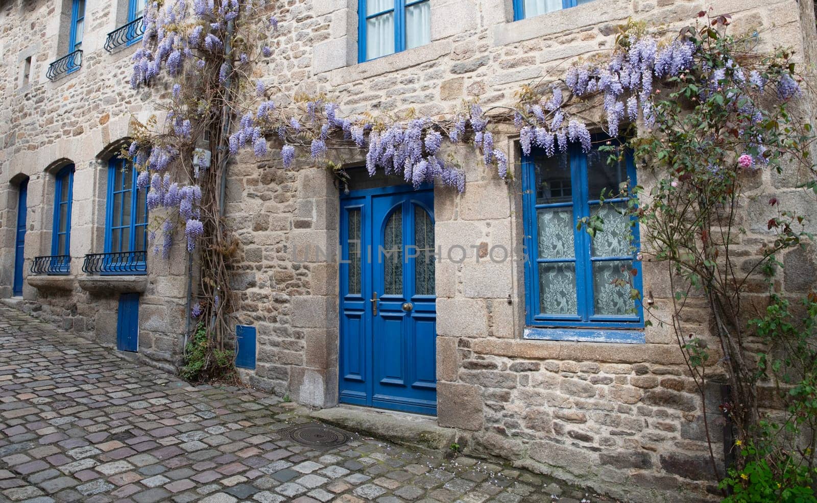old house in dinan with typical french blue painted doors and wisteria sinesis flowers on the facade