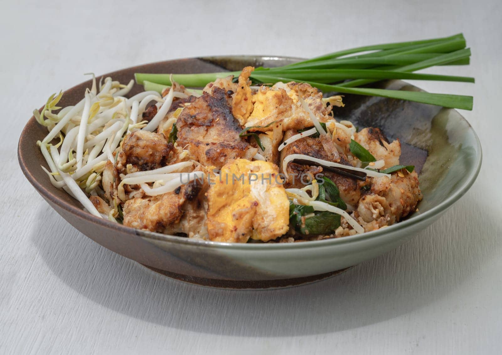 Stir-fried soft turnip cake or Fried radish cake (chai tow kway) with bean sprout and chives on ceramic plate. Thai - Chinese food called Kanom Pak kad or Char Koay Kak, Space for text, Selective focus.