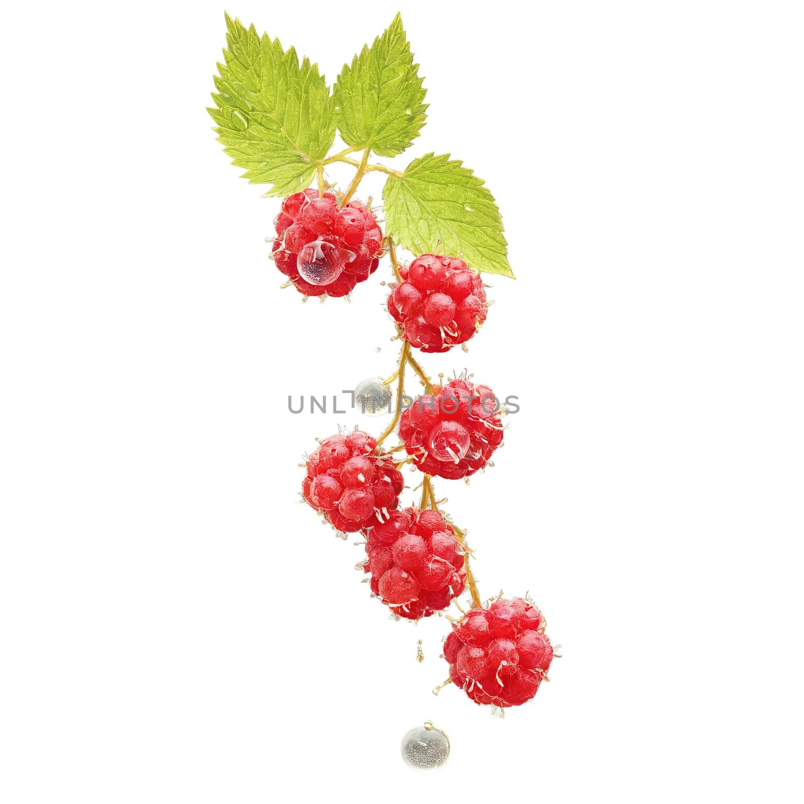 Sweet wineberries cascading thorny stems twisting juice droplets suspended Rubus phoenicolasius Food and Culinary concept. Food isolated on transparent background.