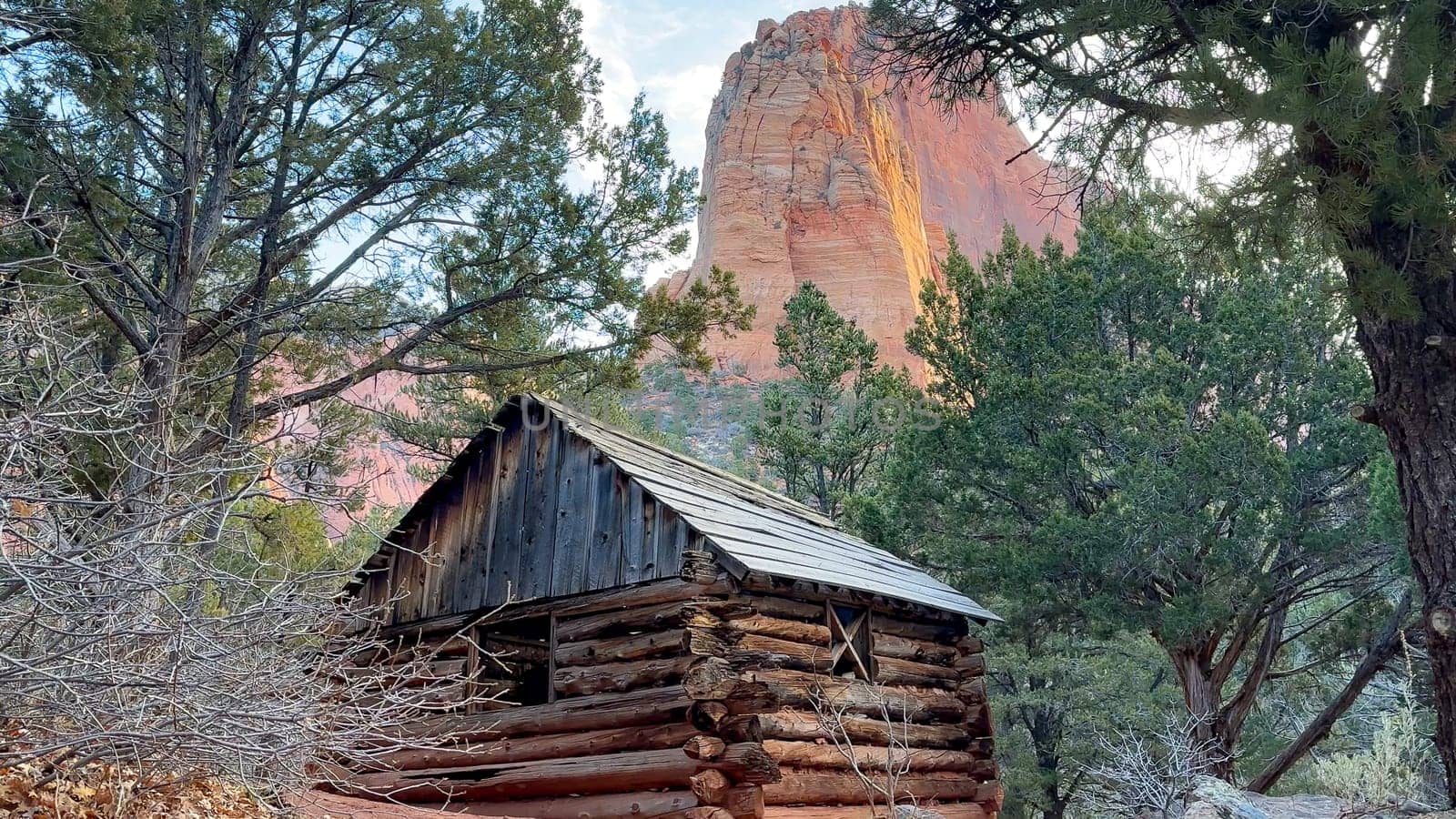 Weathered and rustic log cabin known as the Larson Cabin nestled among the trees of Zion National Park with a towering red rock mountain in the background - Taylor Creek, Kolob Canyons, Utah, USA