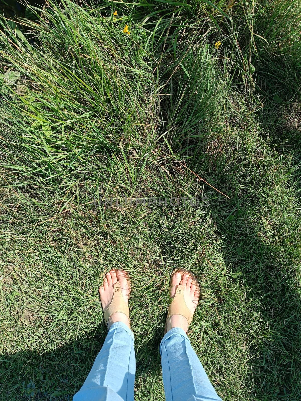 Closeup photo of woman feet in t strap sandal standing on grass during summer. High quality photo. Mobile vertical photo. Summer relax, vacation