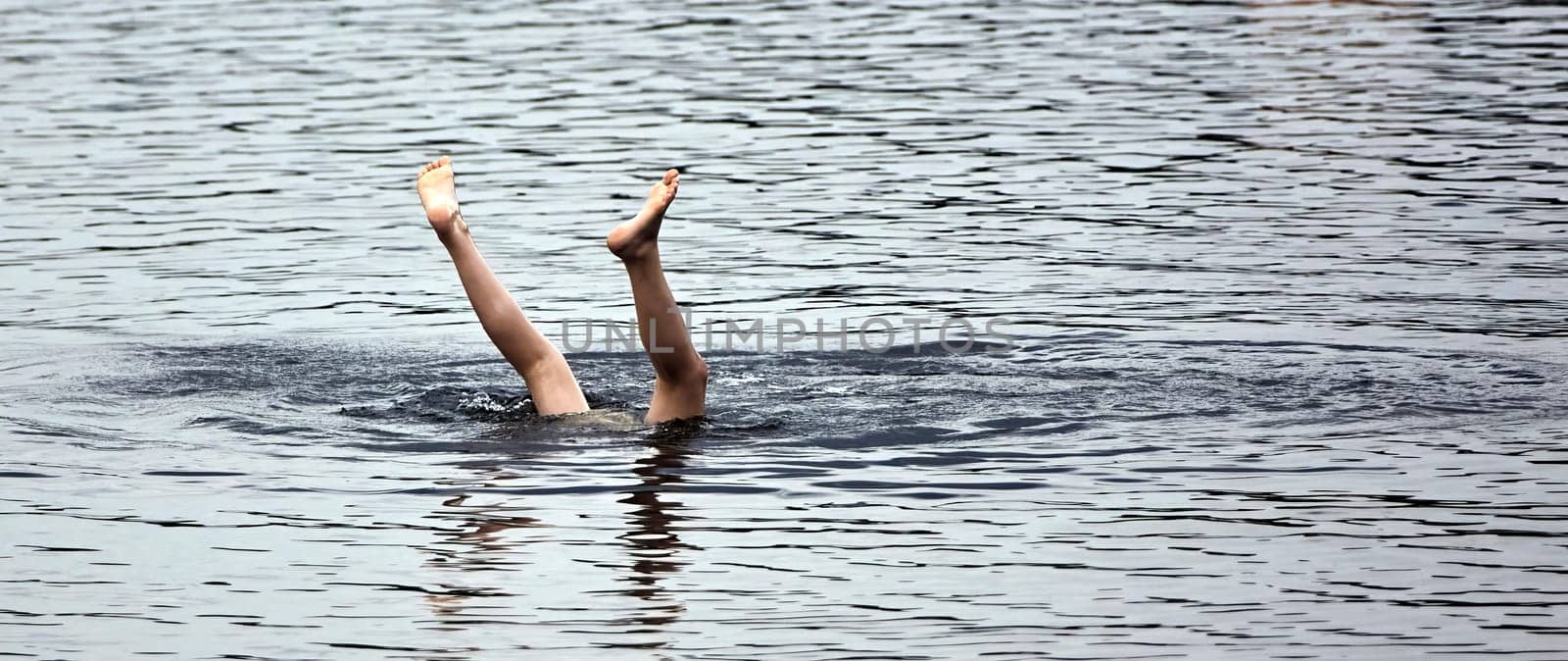 A pair of legs emerge from the water, creating ripples as they break the surface. The sunlight bathes the scene in a warm glow.