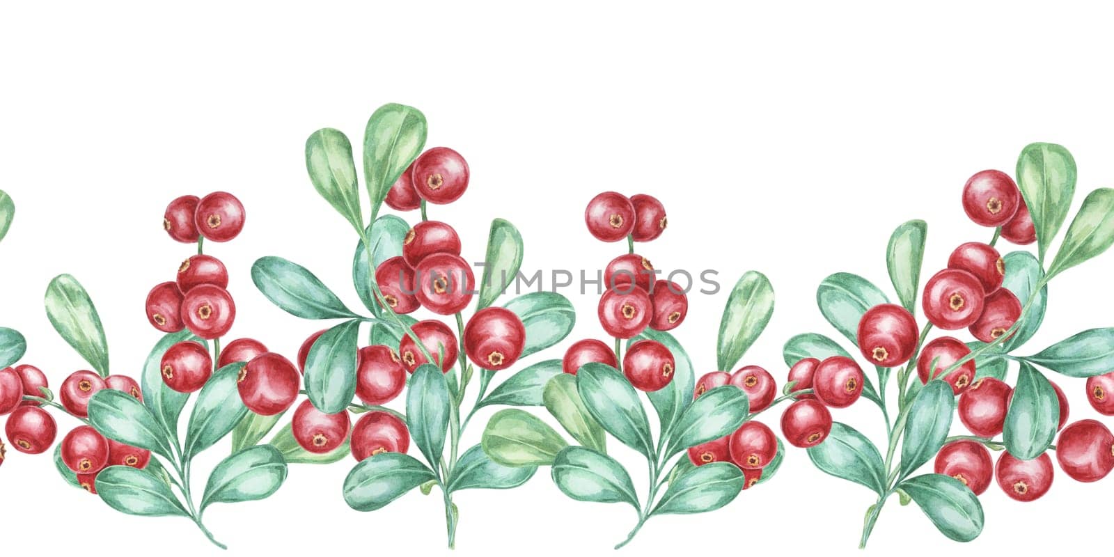 Cranberry seamless border watercolor clipart featuring clusters of vibrant red lingonberries and lush green leaves. Ideal for holiday greeting cards, festive packaging, or seasonal marketing materials