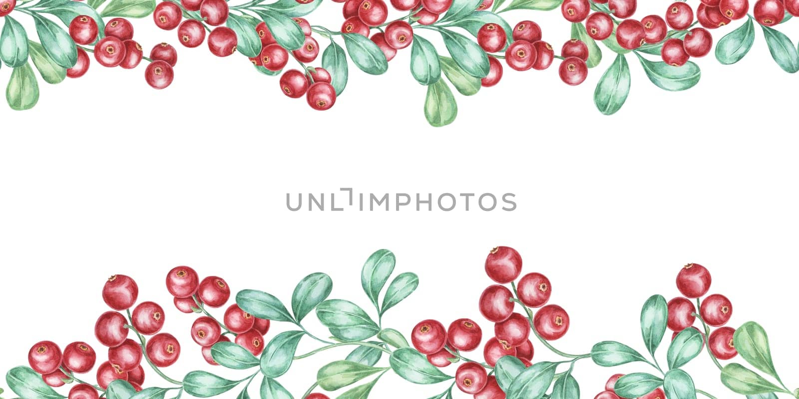 Cranberry seamless border watercolor clipart showcasing a harmonious mix of red lingonberries and green foliage. Suitable for use in greeting cards, festive tableware, or natural product marketing