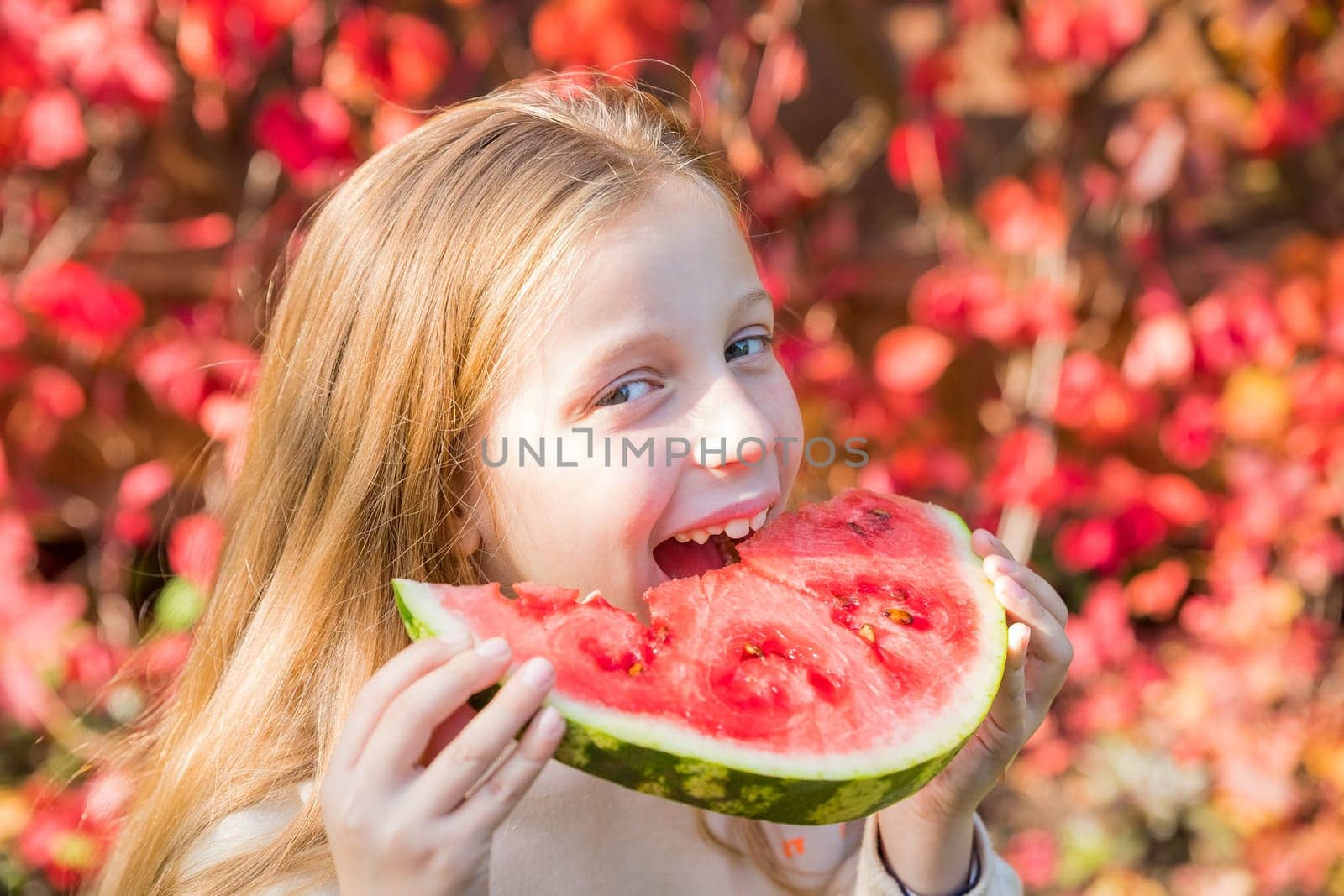 A little girl, with a bright smile on her face, is joyfully holding a slice of watermelon in her hands. Summer concept.