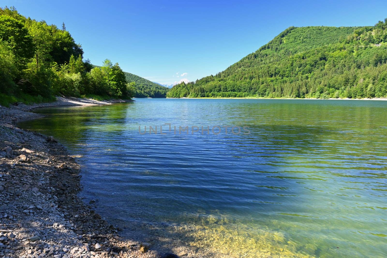 Landscape with nature. Beautiful and clean lake in the Austrian Alps - Mondsee. The Salt Chamber region - the federal state of Upper Austria. Concept for travel, vacation, environment and tourism.