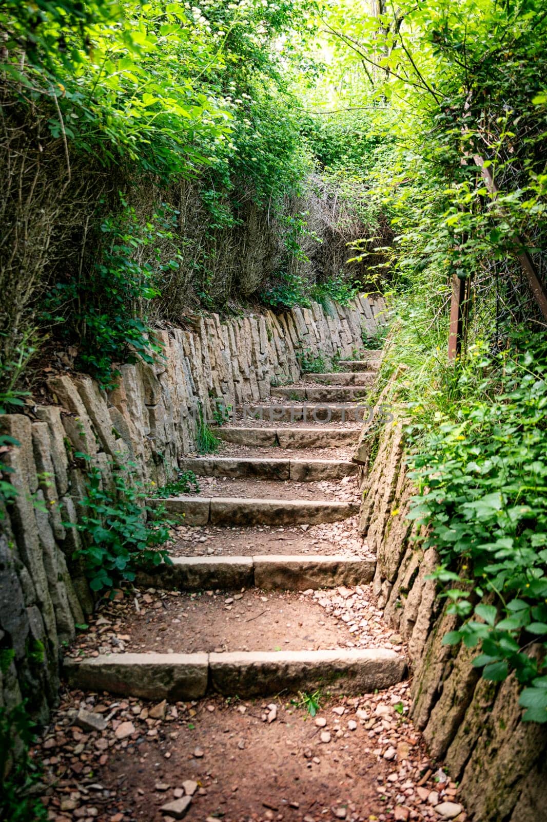 Stone Stairs moving up to success in green environment