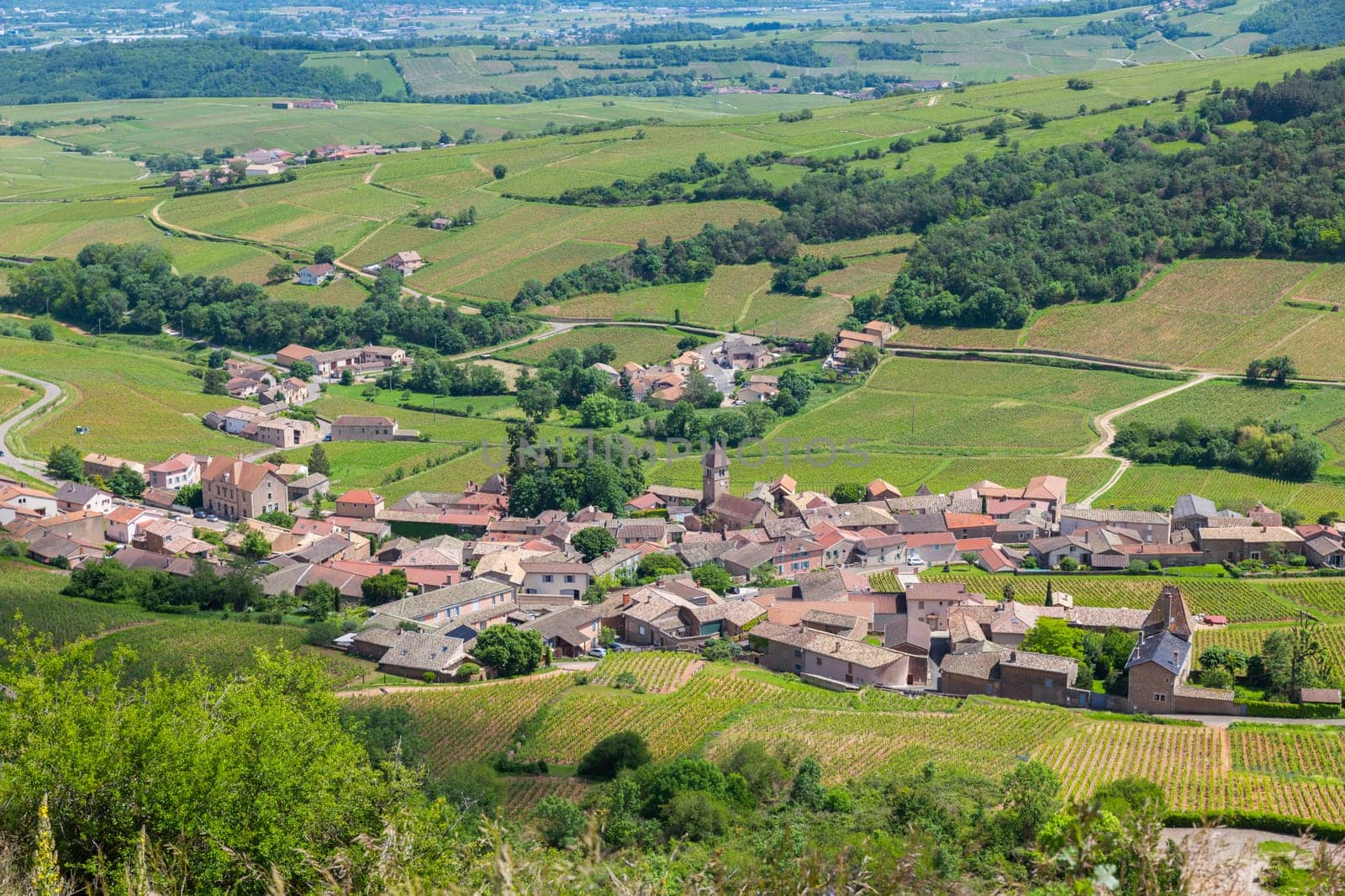 Environment of La Roche de Solutre with vineyards, Burgundy, France