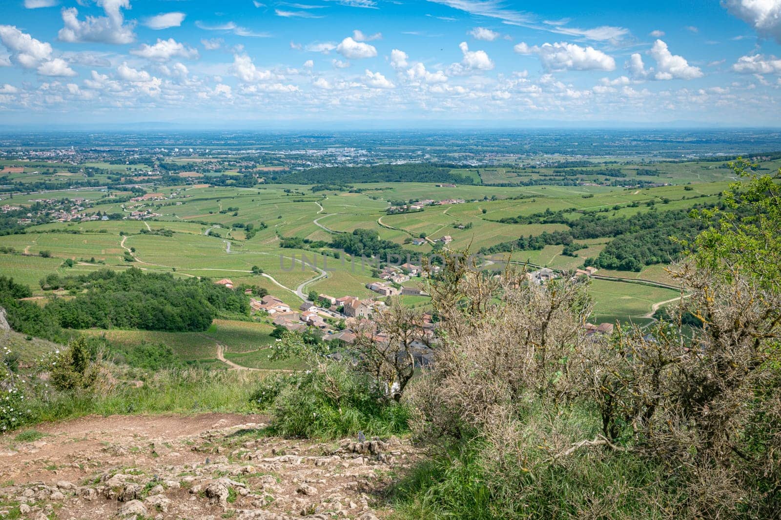 view from the top of the Roche de Solutre with vineyards, and the giant rock to climb on the background, Burgundy, France