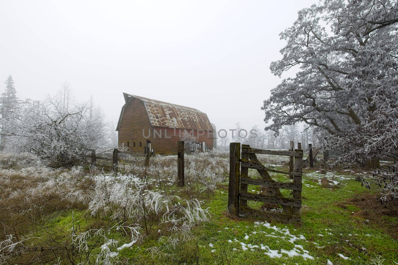 An old barn stands in a partly snow covered field on a foggy early winter day in north Idaho.