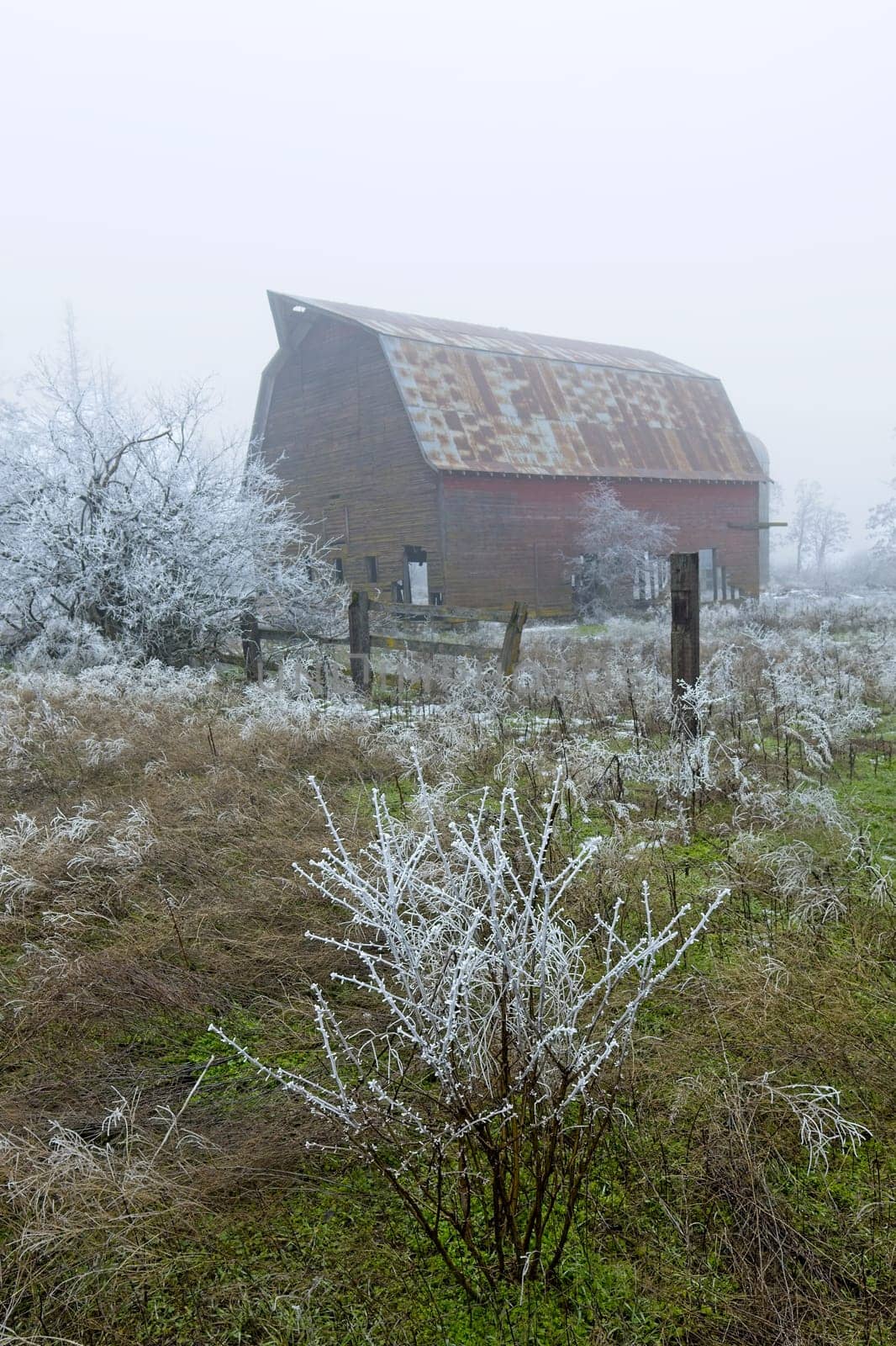 An old barn stands in a partly snow covered field on a foggy early winter day in north Idaho.