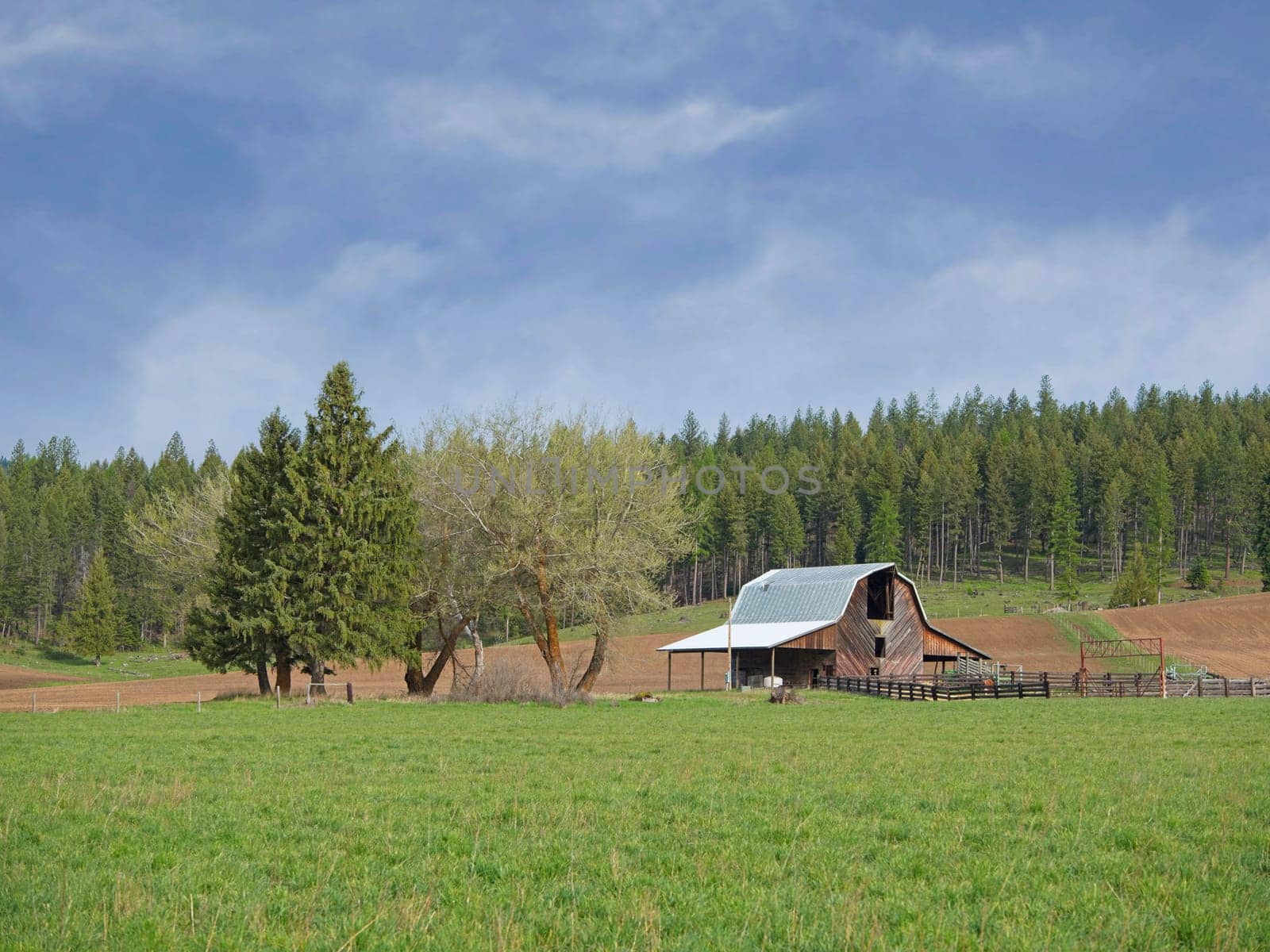 A small barn stands in a grassy field along with trees in northeast Washington.