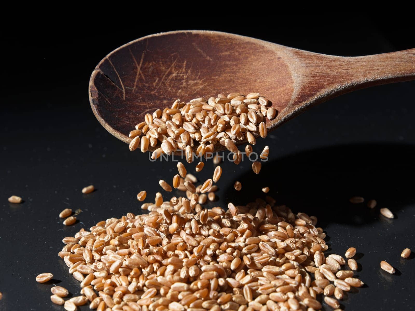 A concept photo of small hard red wheat berries falling off a spoon onto the table.