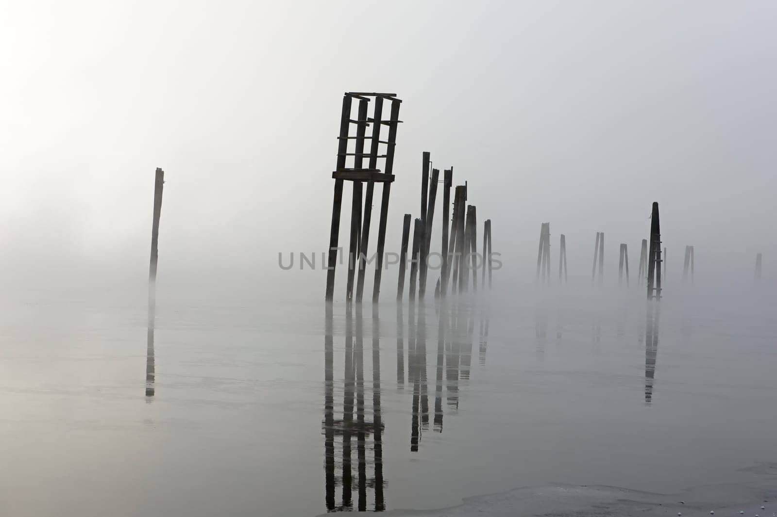 Wooden pilings rise out of the calm water on a foggy morning in January on the Pend Oreille River in north east Washington state.