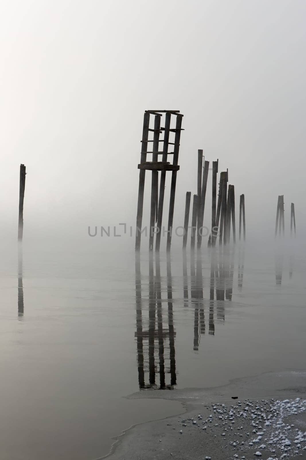 Wooden pilings rise out of the calm water on a foggy morning in January on the Pend Oreille River in north east Washington state.