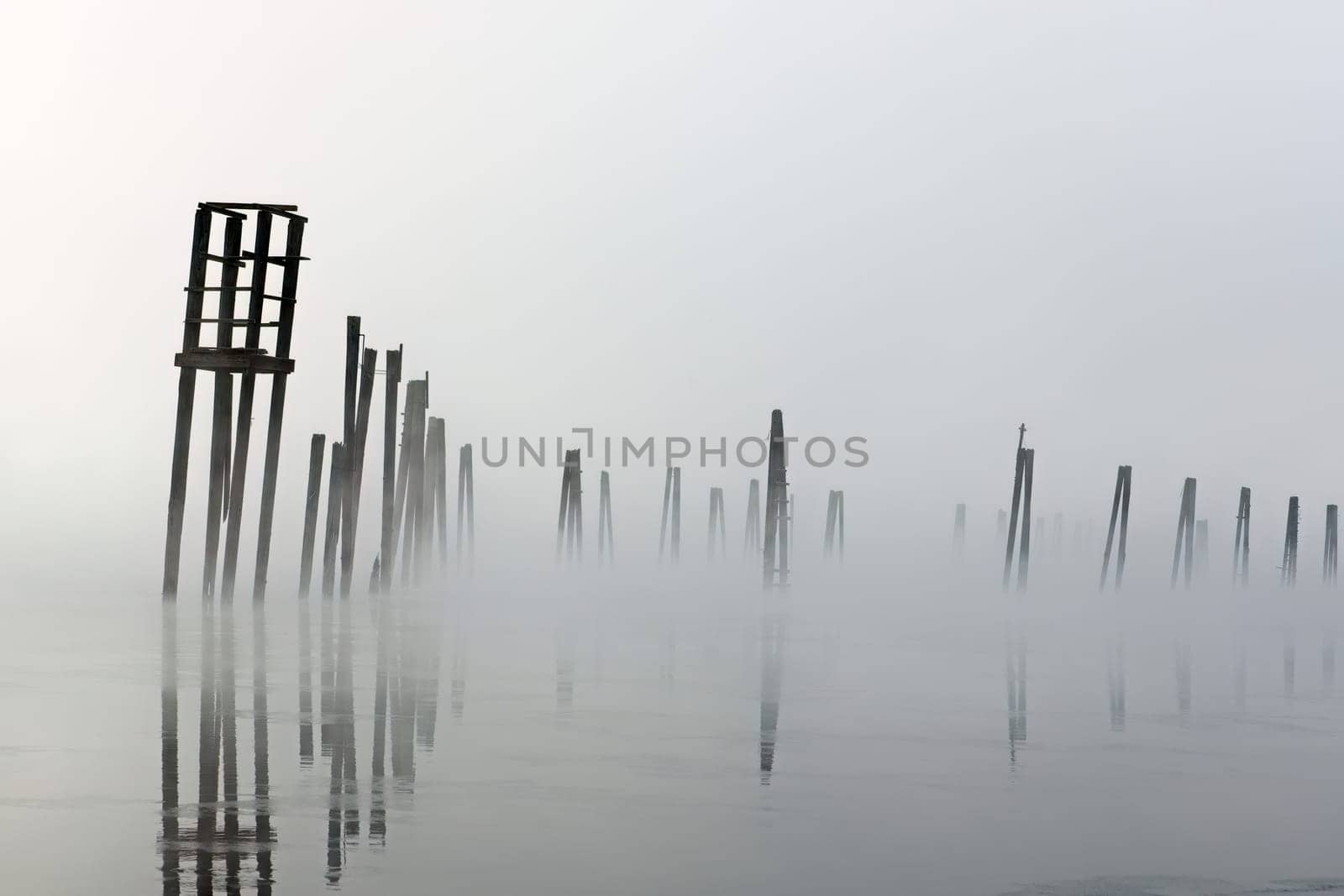 Wooden pilings rise out of the calm water on a foggy morning in January on the Pend Oreille River in north east Washington state.