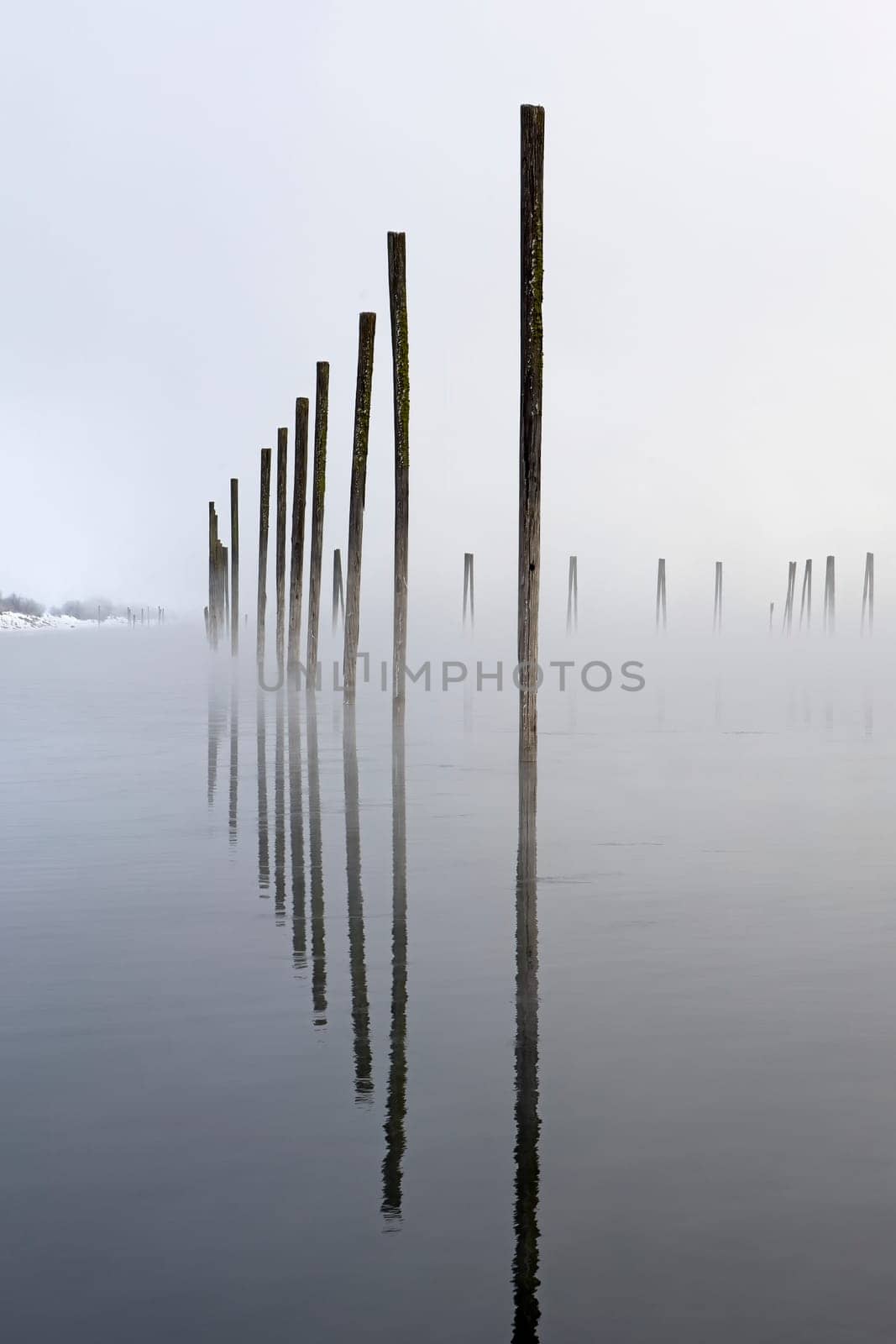 A mirror image like photo of wooden pilings reflection off the water on the calm Pend Oreille river in Washington on a foggy winter morning.